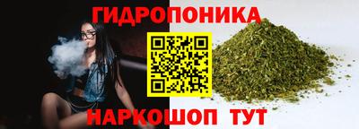 Альфа ПВП Обнинск