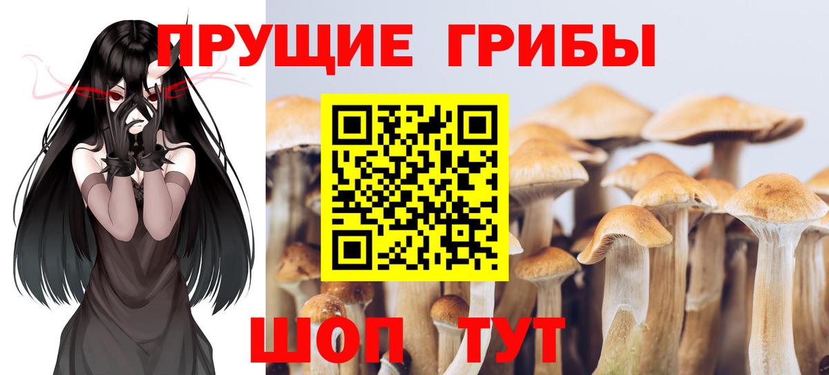 Галлюциногенные грибы GOLDEN TEACHER  наркота  Пенза  Псилоцибиновые грибы GOLDEN TEACHER  Вход с VPN 